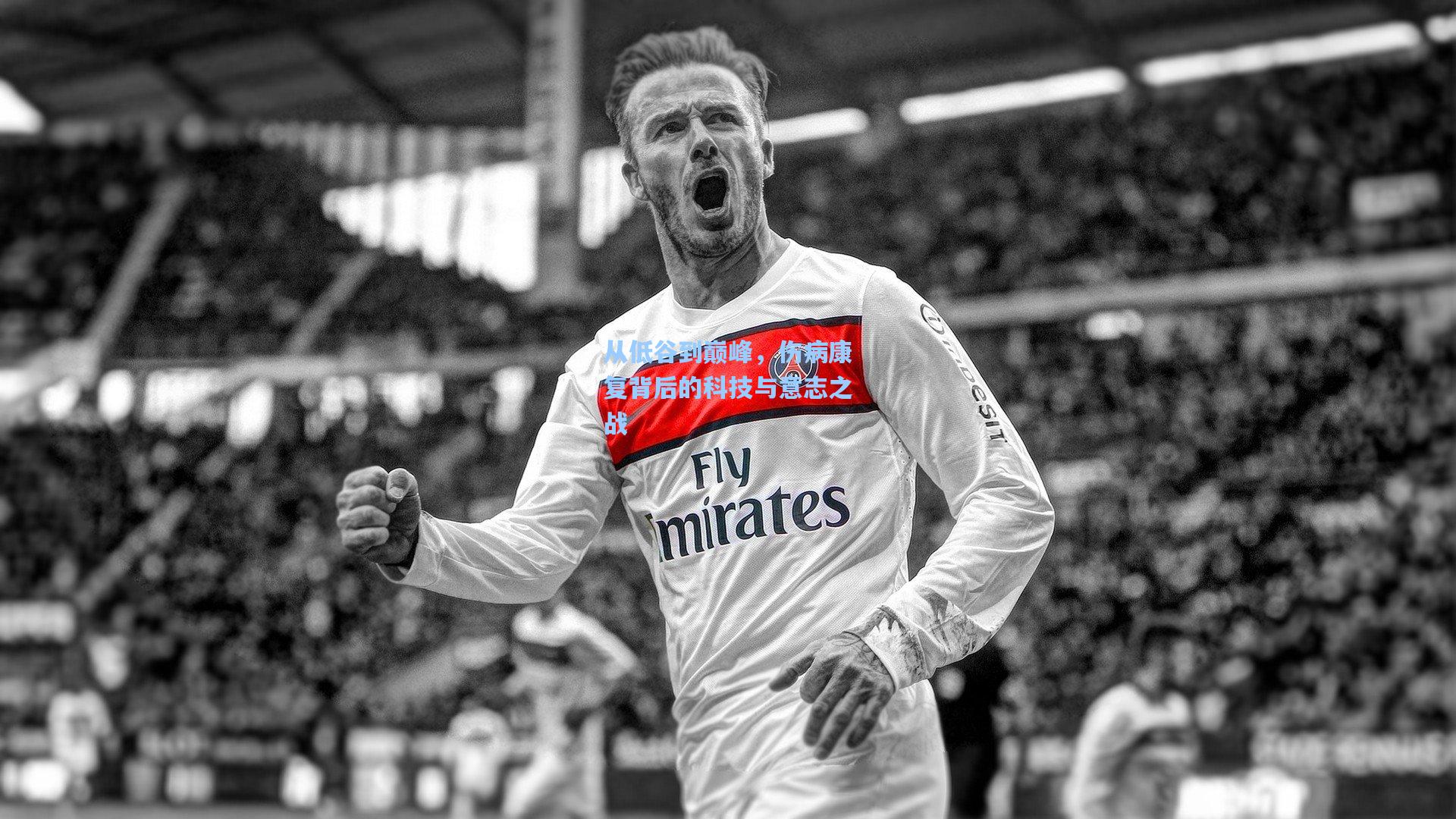 从低谷到巅峰,伤病康复背后的科技与意志之战